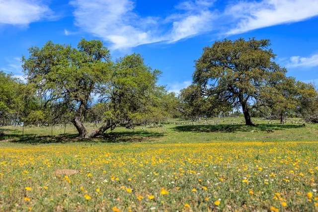 a view of a lake with outdoor space