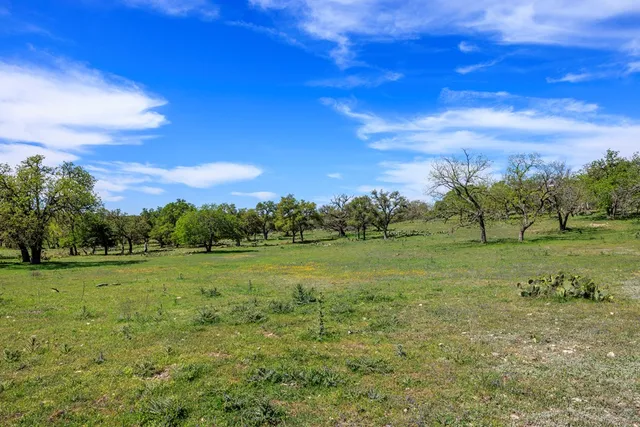 a view of a yard with a tree