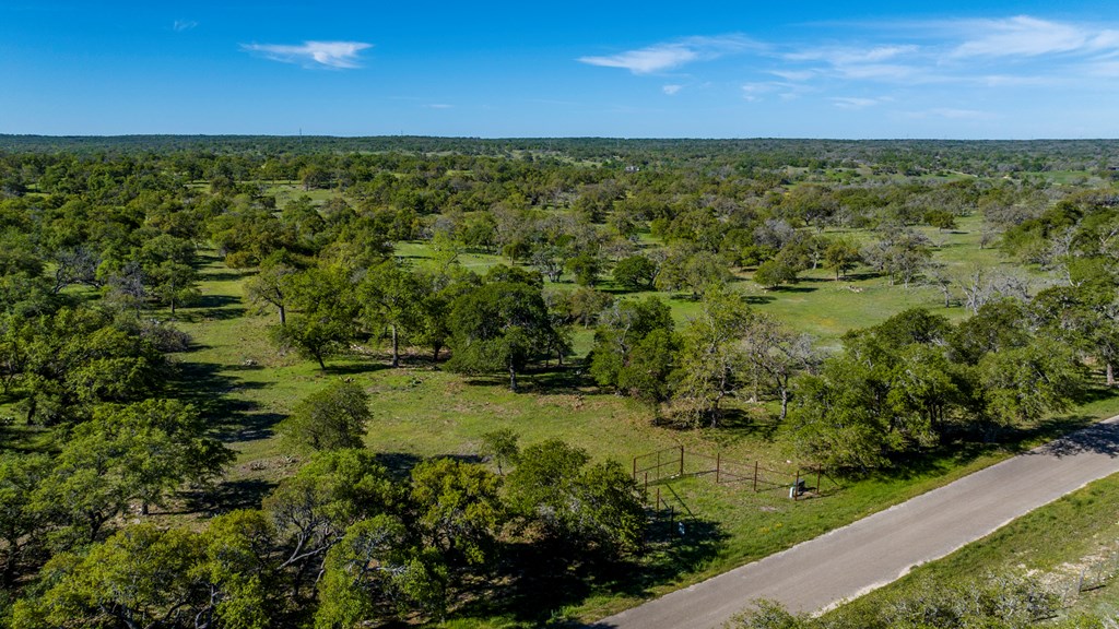 215 Dally Road Comfort, TX 78013 - Photo 15 of 21 a view of a yard with a tree