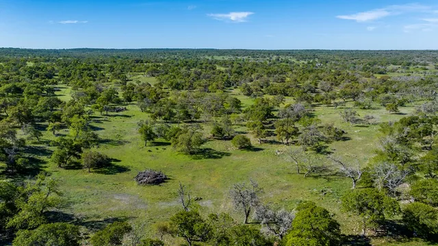 a view of a big yard with lots of trees