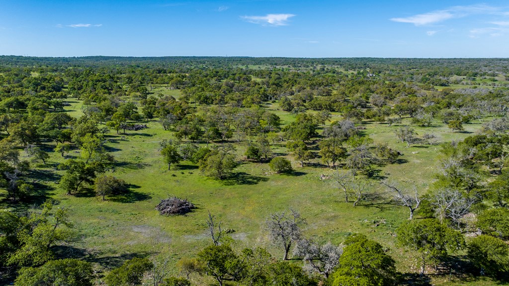 215 Dally Road Comfort, TX 78013 - Photo 2 of 21 a view of a big yard with lots of trees