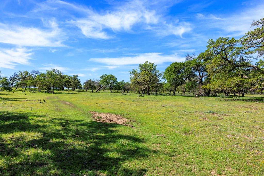 215 Dally Road Comfort, TX 78013 - Photo 3 of 21 a view of a lake with a big yard