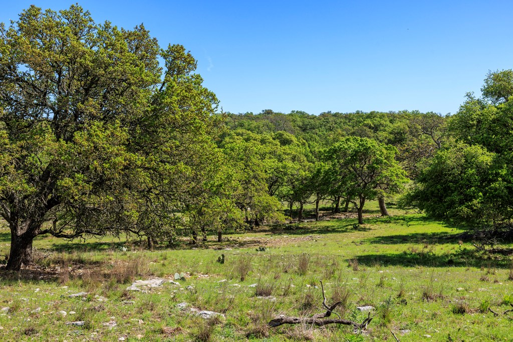 215 Dally Road Comfort, TX 78013 - Photo 4 of 21 a view of a golf course