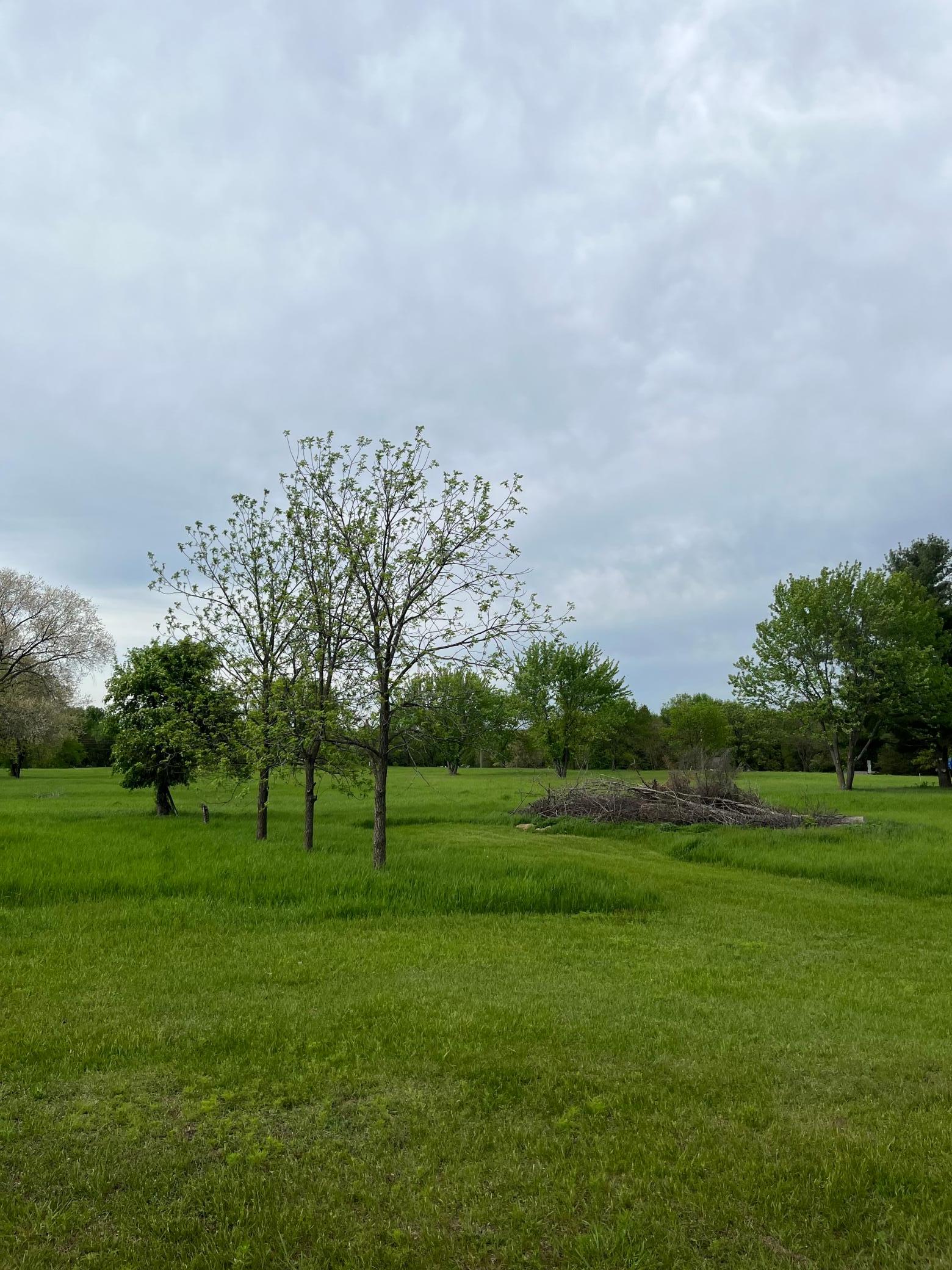 42797 County Road 1 Rice, MN 56367 - Photo 32 of 32 Gallery Image 32
