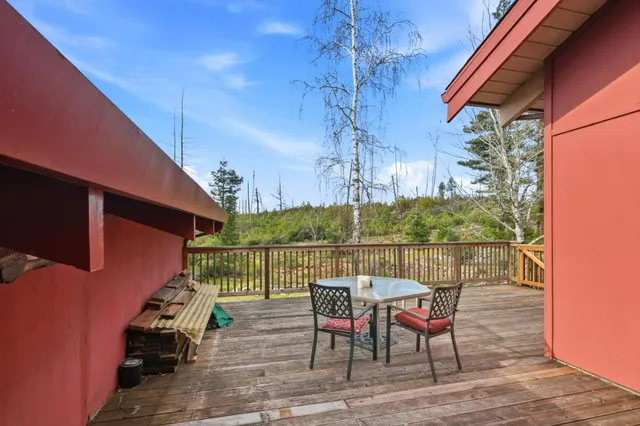 a view of a park with large trees