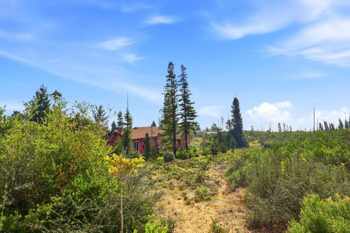 590 Pineridge Road Santa Cruz, CA 95060 - Photo 52 of 61