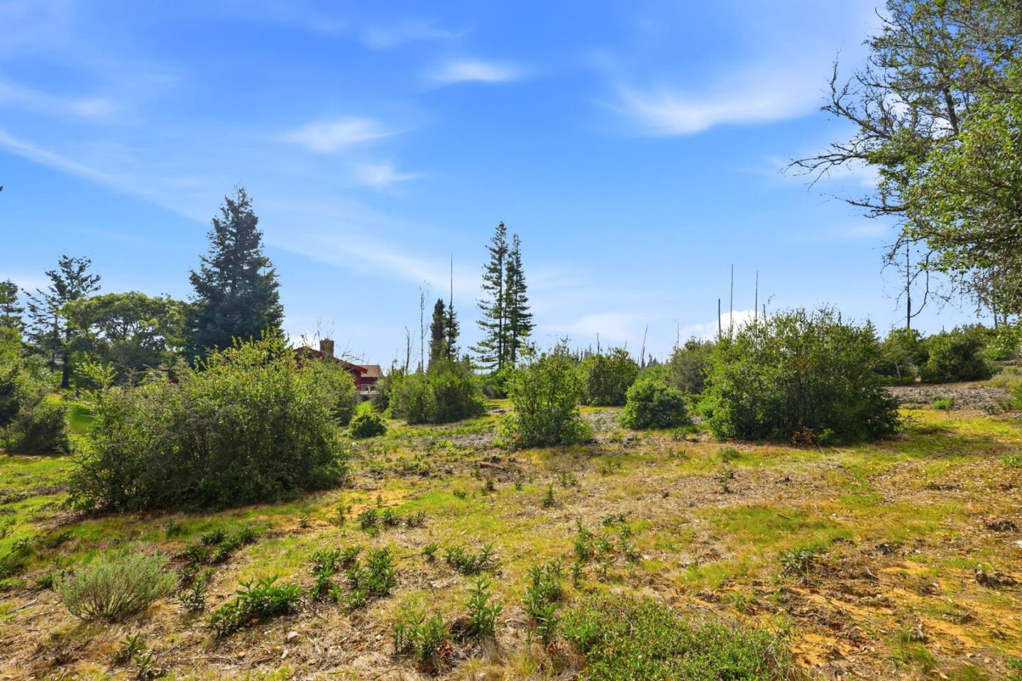 590 Pineridge Road Santa Cruz, CA 95060 - Photo 53 of 61