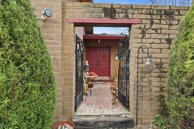 a living room with furniture a potted plant and a table