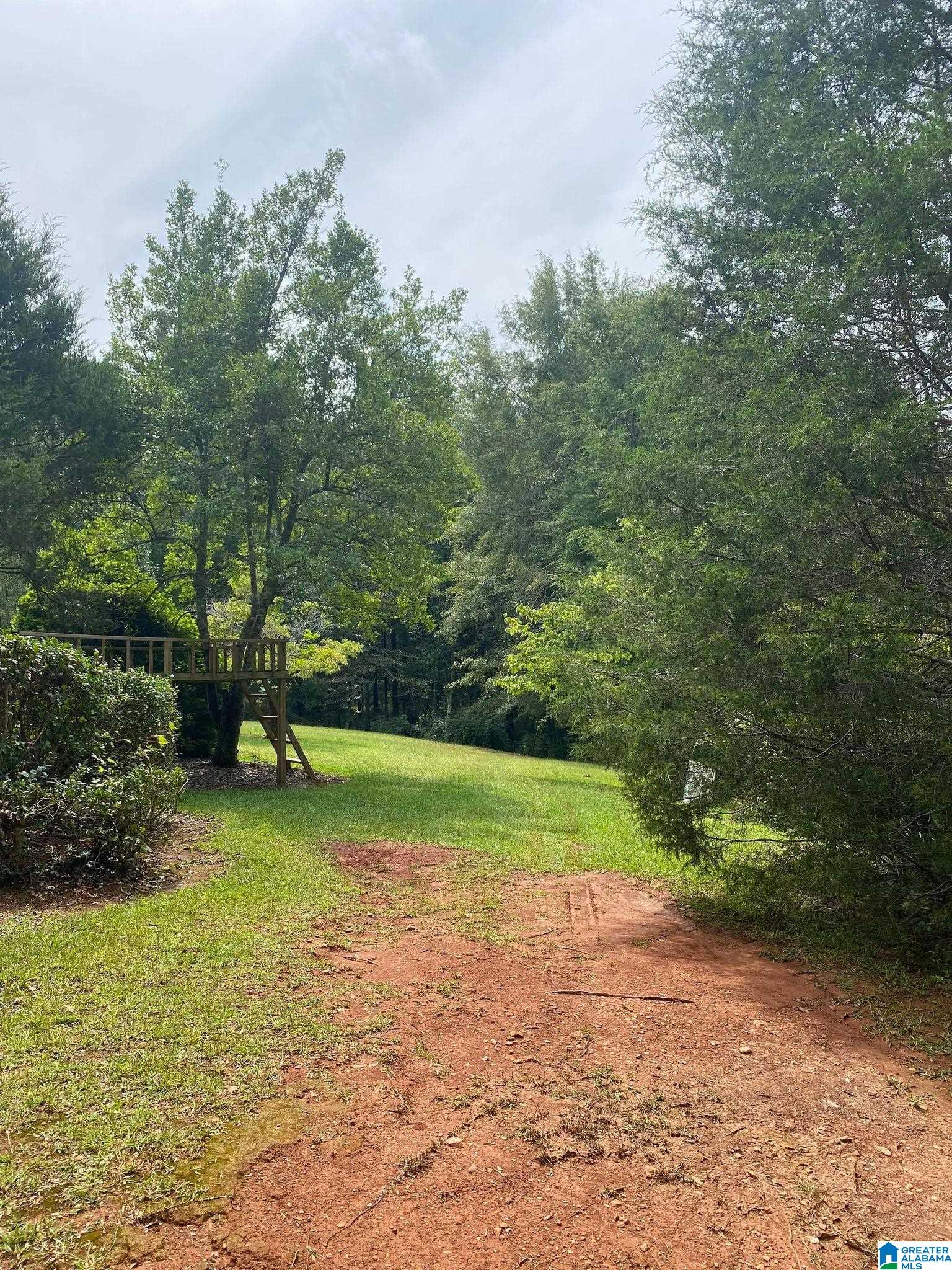 575 Cherry Street Wedowee, AL 36278 - Photo 50 of 50 Gallery Image 50