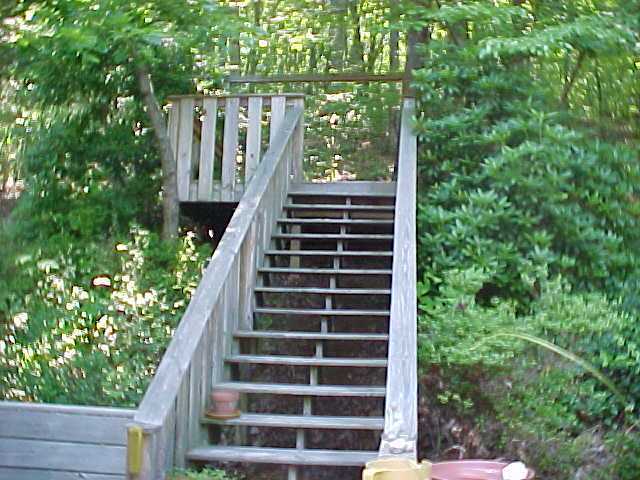 11222 East Brainerd Road Apison, TN 37302 - Photo 7 of 9 Additional Photo