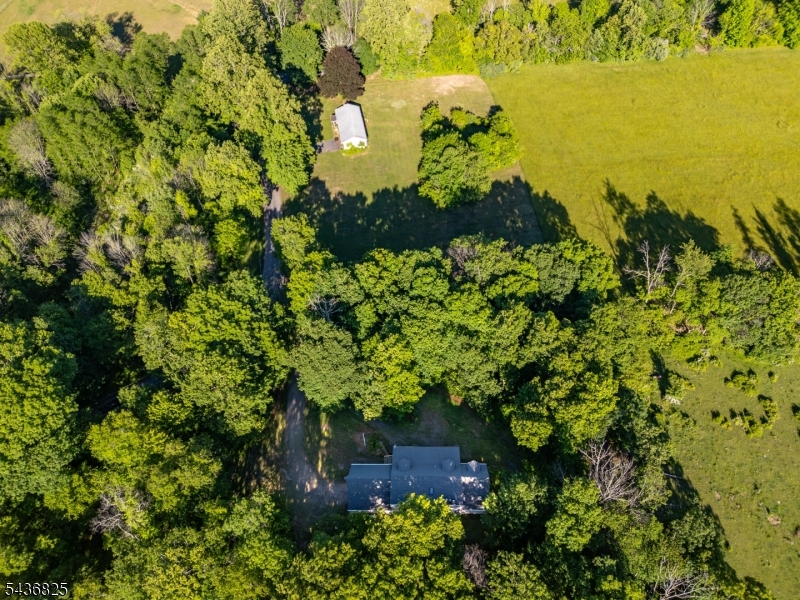 12 Sharrer Road Flemington, NJ 08822 - Photo 44 of 46