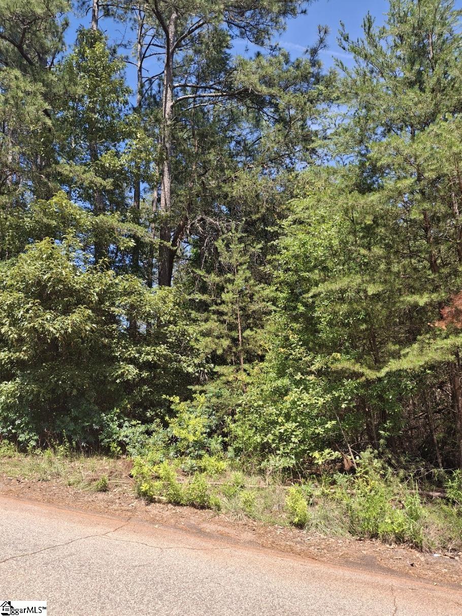 302 Walnut Drive Pickens, SC 29671 - Photo 2 of 3