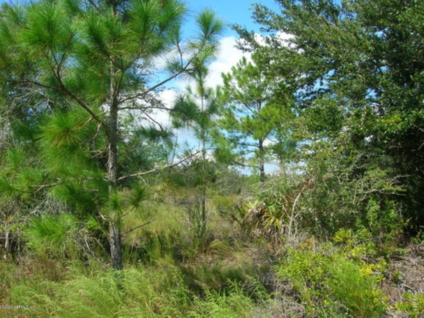 0 Southwest 52nd Place Cedar Key, FL 32625 - Photo 4 of 4 124382-1592339175609