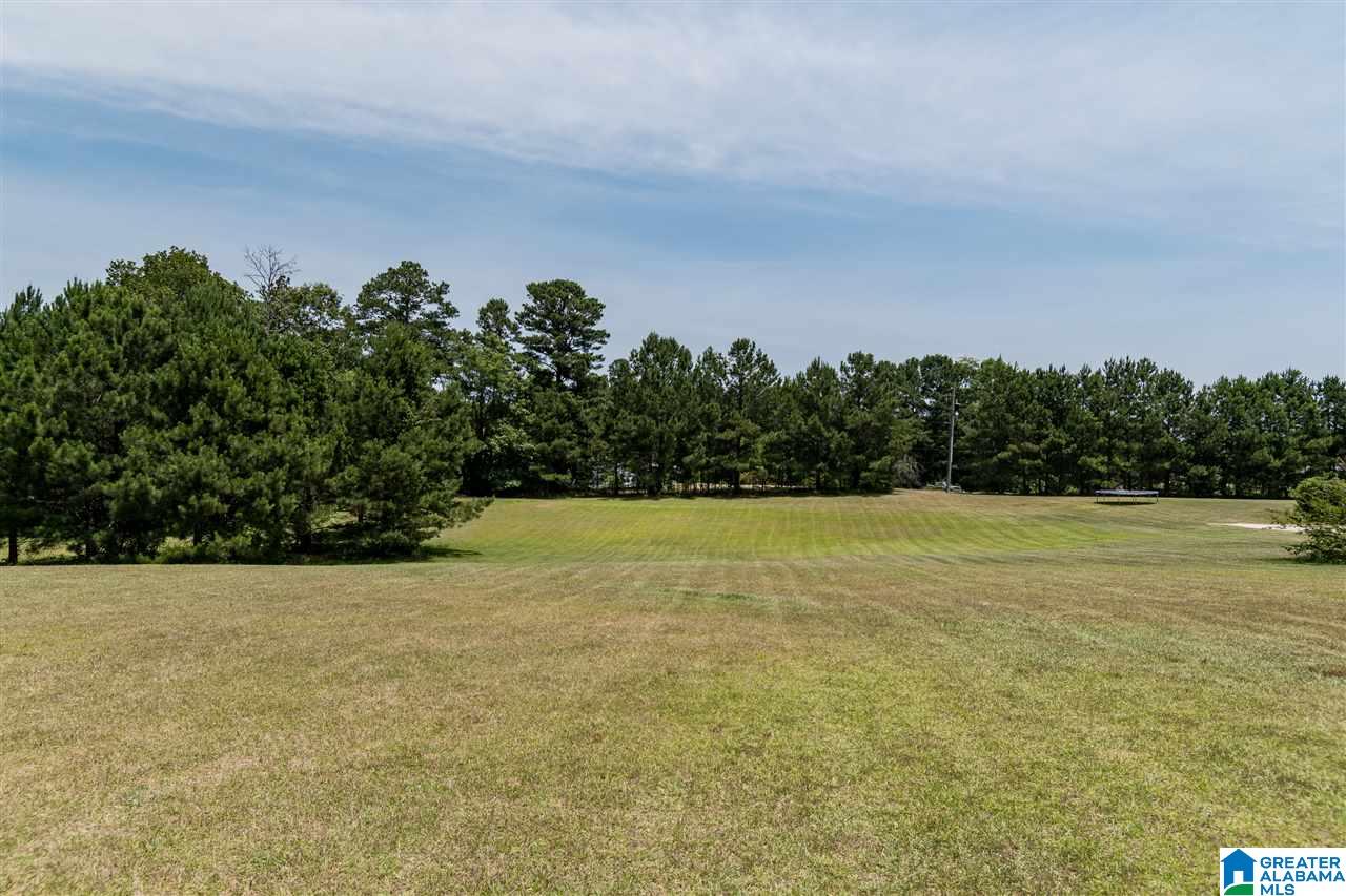 8686 County Line Road Dora, AL 35062 - Photo 48 of 49