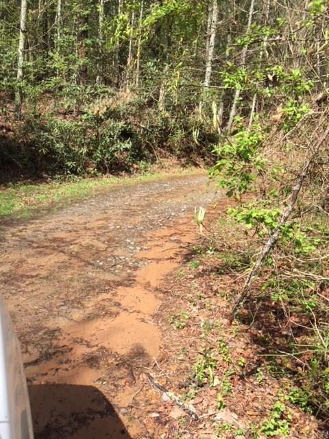 0 Deal Mill Road Granite Falls, NC 28630 - Photo 2 of 8 Gallery Image 2