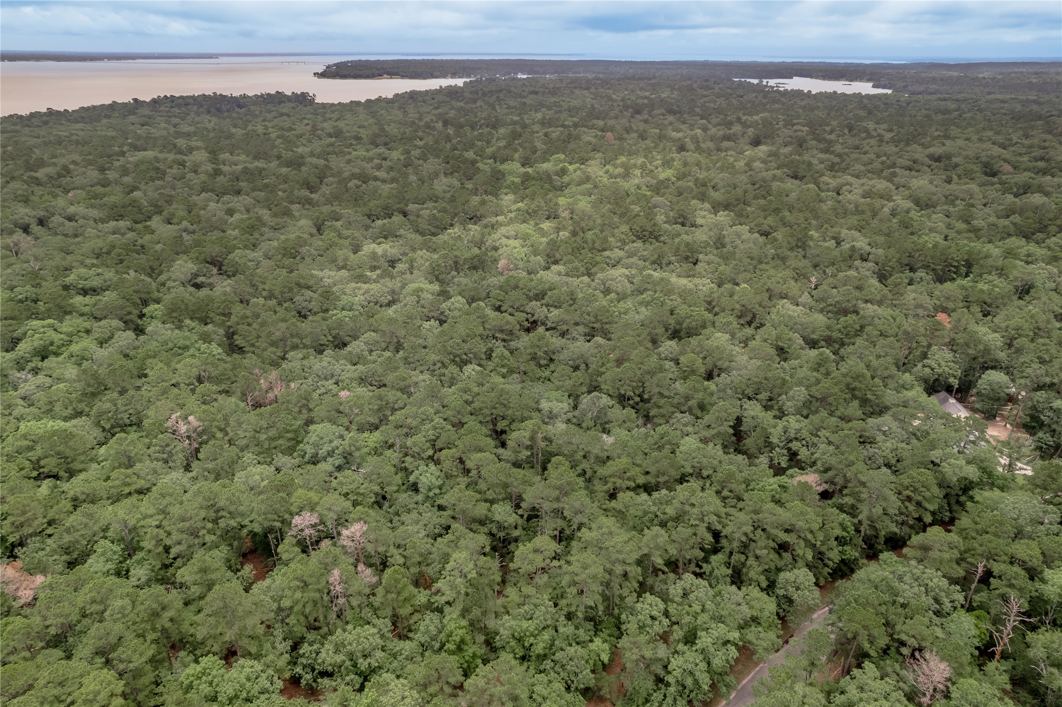 Lot 9 Rohm Place Point Blank, TX 77364 - Photo 26 of 26