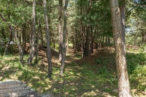 7750 Pine Bluff Road, Unit CH Morris, IL 60450 - Photo 18 of 21 a view of a forest