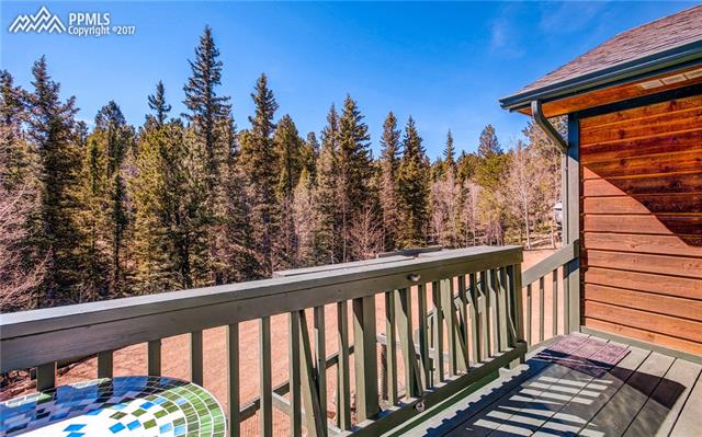 1121 Ridge Road Divide, CO 80814 - Photo 33 of 36
