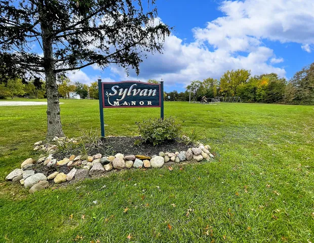 a view of a field with grass and a tree