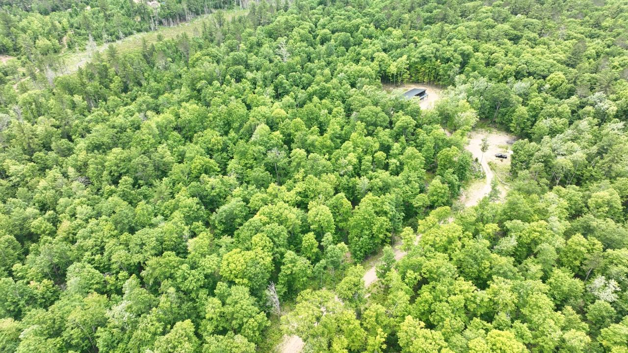 5-ac 5-ac Timbercrest Way Conover, WI 54519 - Photo 5 of 12 Gallery Image 5