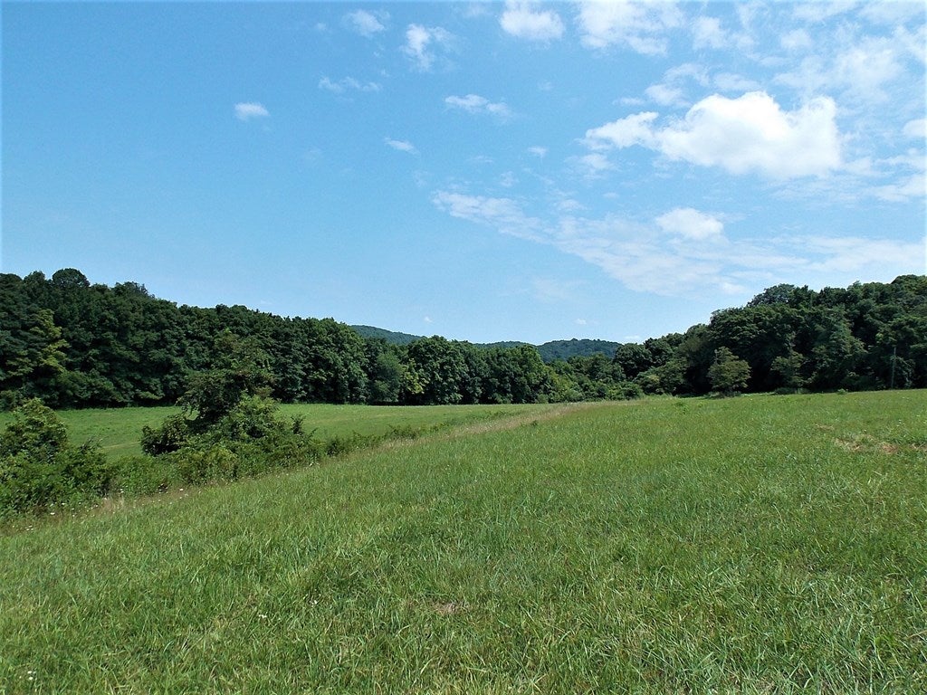 604 Lone Ash Road Barren Springs, VA 24313 - Photo 17 of 39 Gallery Image 17