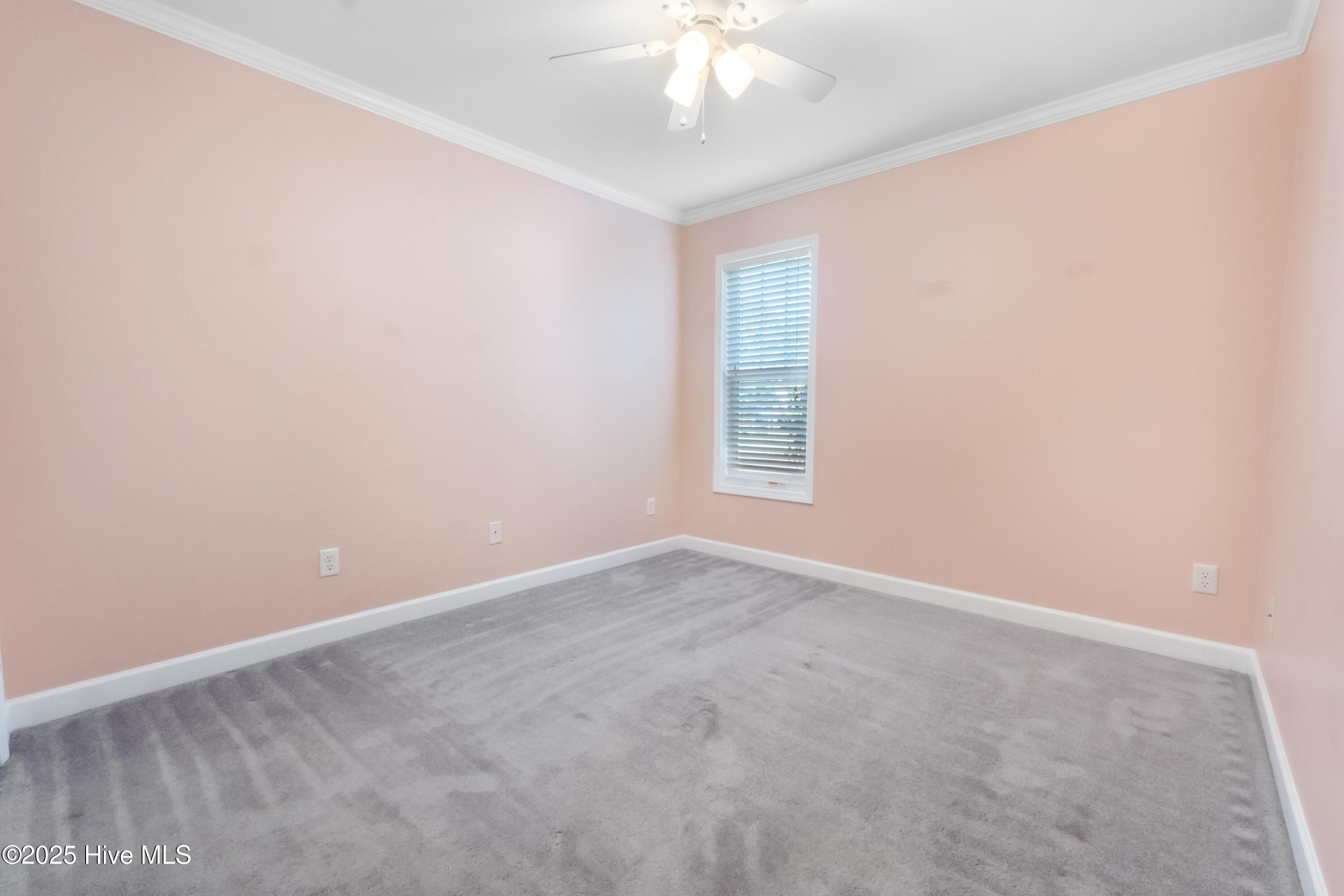 100 Southern Magnolia Court Hampstead, NC 28443 - Photo 19 of 38 22