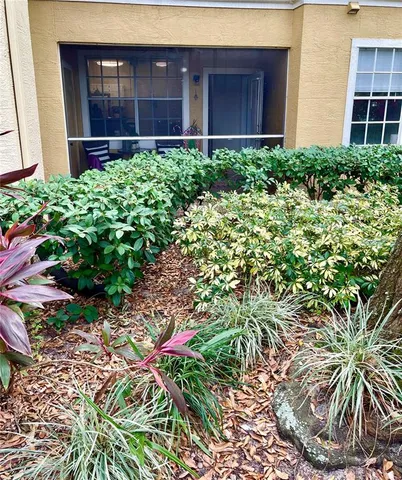 a house view with a garden space