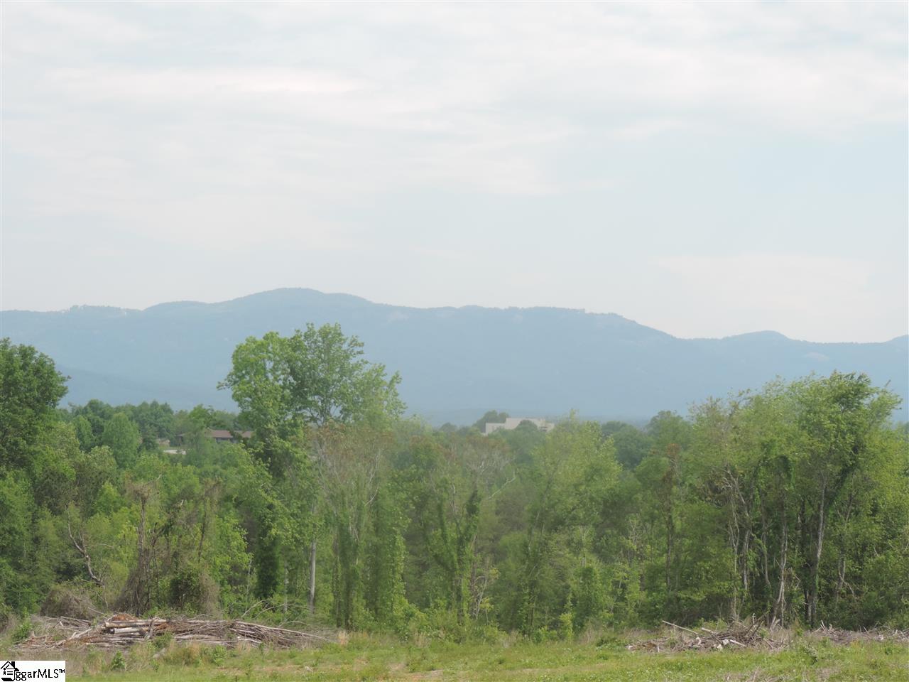 6810 Mountain View Road Taylors, SC 29687 - Photo 27 of 29
