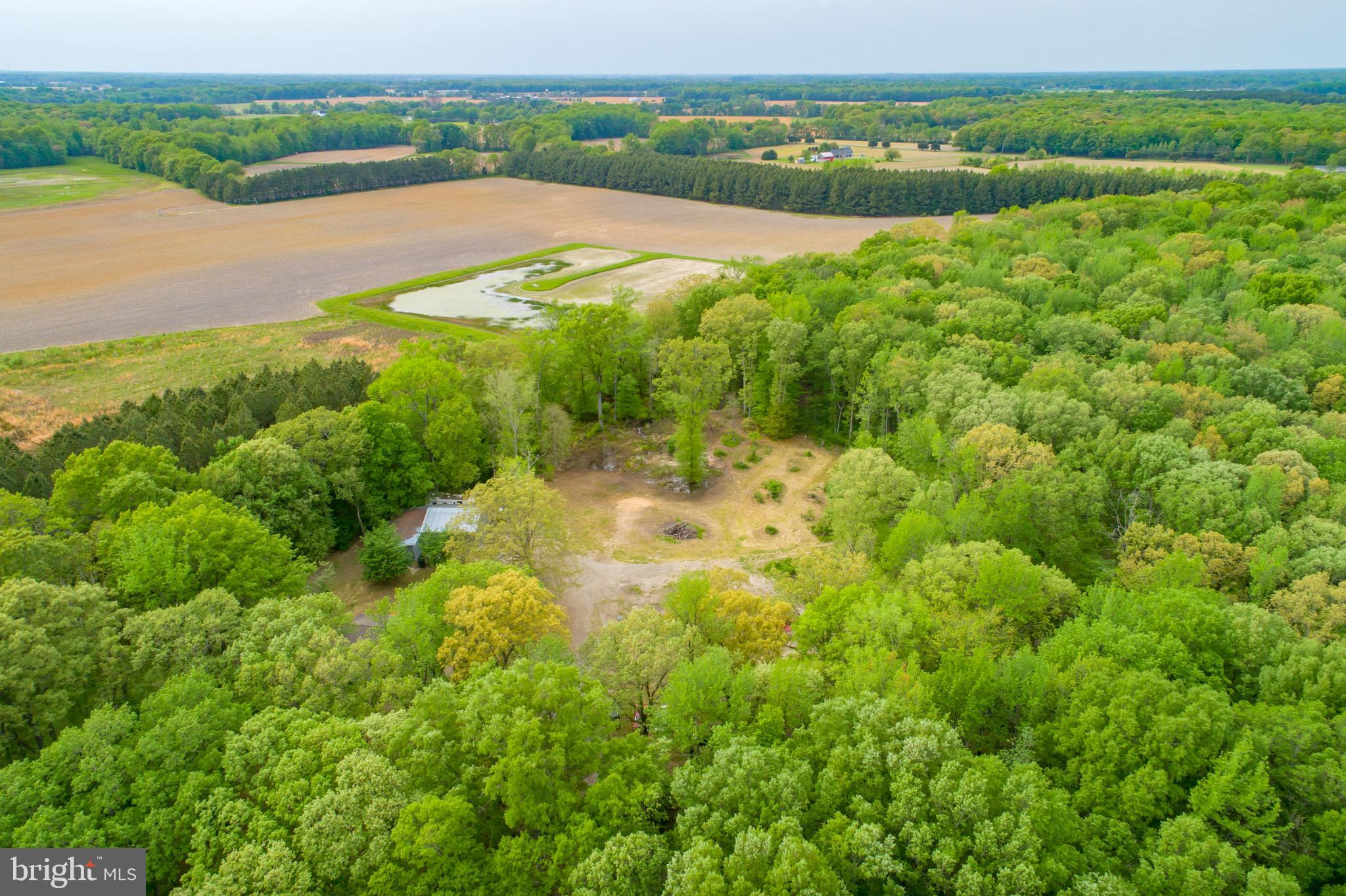 517 Roe Ingleside Road Centreville, MD 21617 - Photo 51 of 57 Gallery Image 51