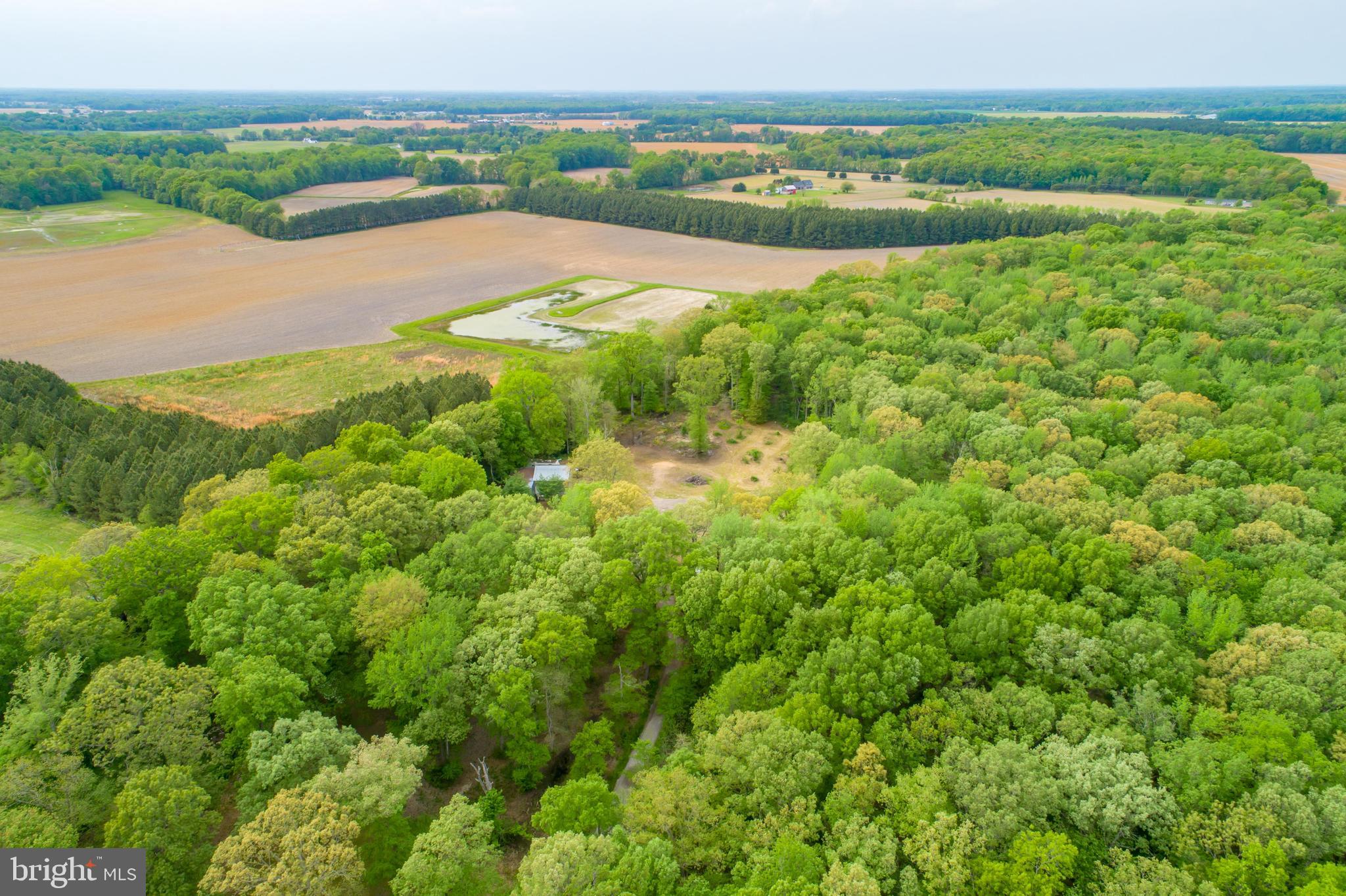 517 Roe Ingleside Road Centreville, MD 21617 - Photo 53 of 57 Gallery Image 53