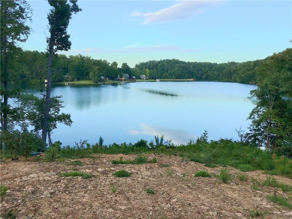 330 Whitewater Lake Road Tamassee, SC 29686 - Photo 5 of 14 Gallery Image 5