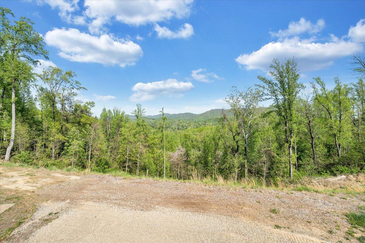 175 Hayden Mountain Road Boones Mill, VA 24065 - Photo 62 of 90 48-MIB02574
