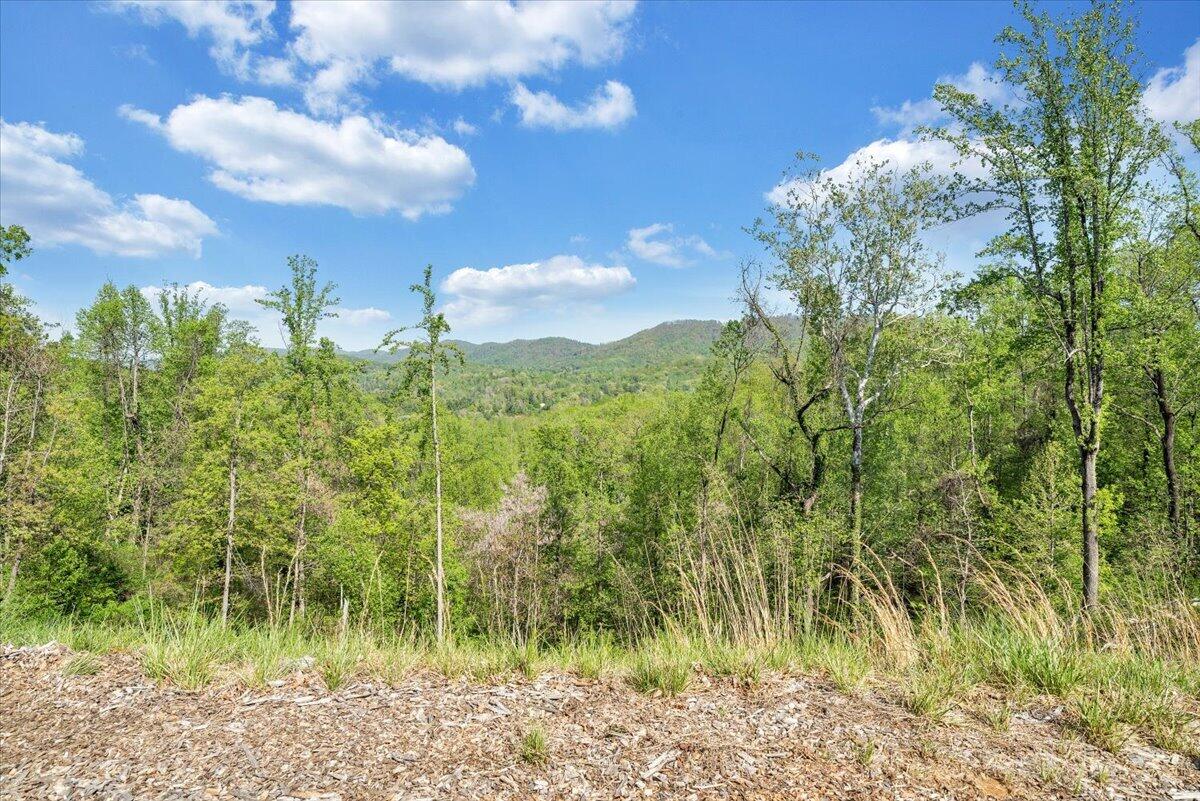 175 Hayden Mountain Road Boones Mill, VA 24065 - Photo 66 of 90 52-MIB02586