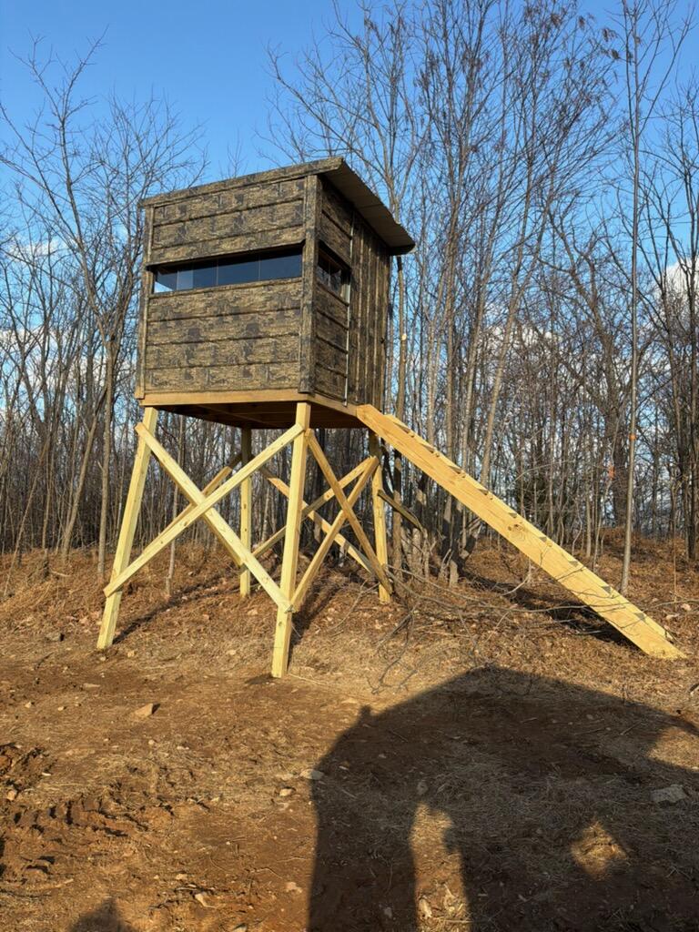 175 Hayden Mountain Road Boones Mill, VA 24065 - Photo 84 of 90 1000082882