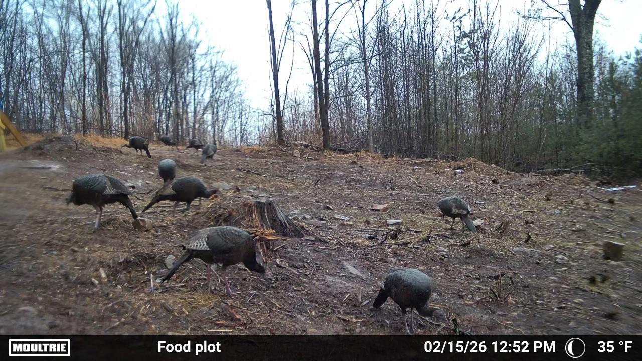 175 Hayden Mountain Road Boones Mill, VA 24065 - Photo 87 of 90 1000082885