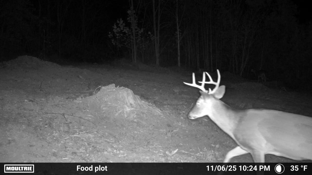 175 Hayden Mountain Road Boones Mill, VA 24065 - Photo 89 of 90 1000082887