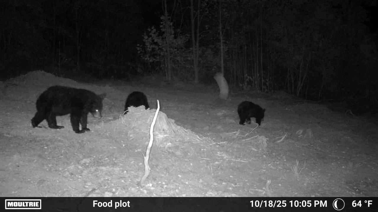 175 Hayden Mountain Road Boones Mill, VA 24065 - Photo 90 of 90 1000082888