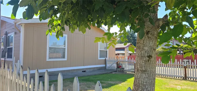 a view of a house with a tree in front of it