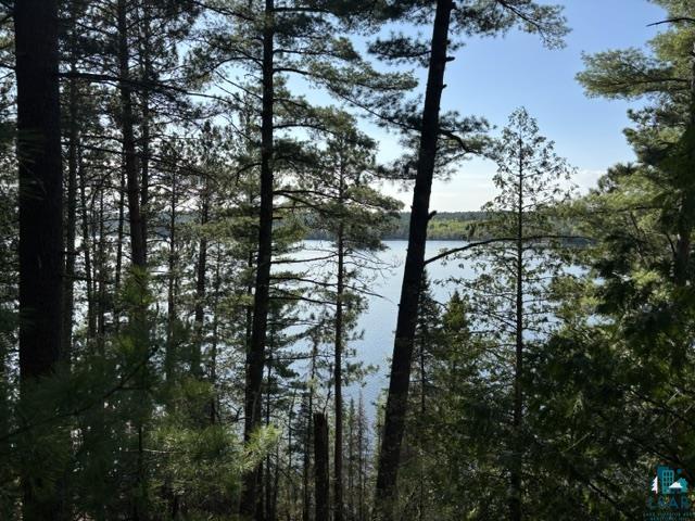 3506 Hanson Lk Road Ely, MN 55731 - Photo 15 of 26