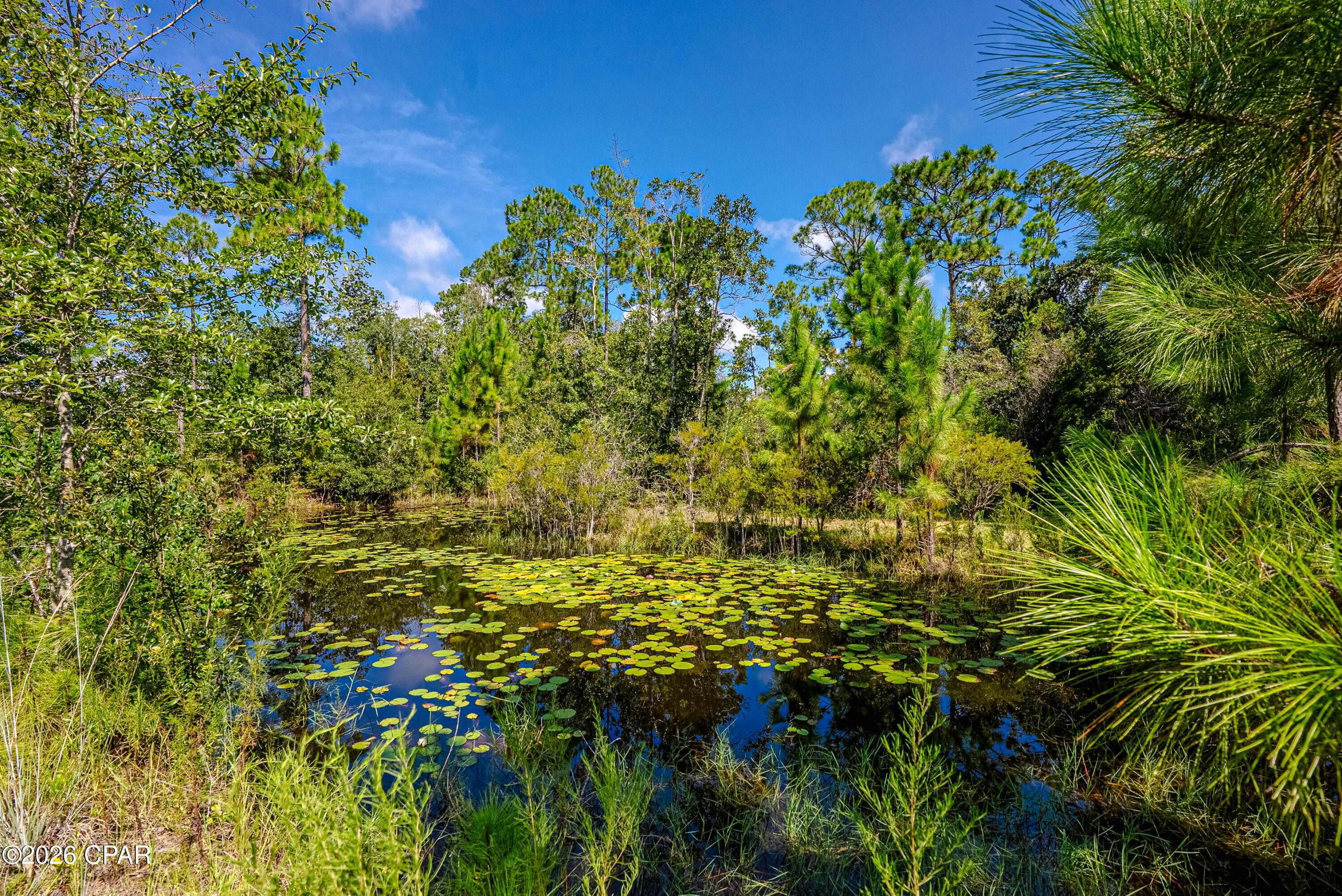3719 Long Road Southport, FL 32409 - Photo 56 of 60 Gallery Image 56