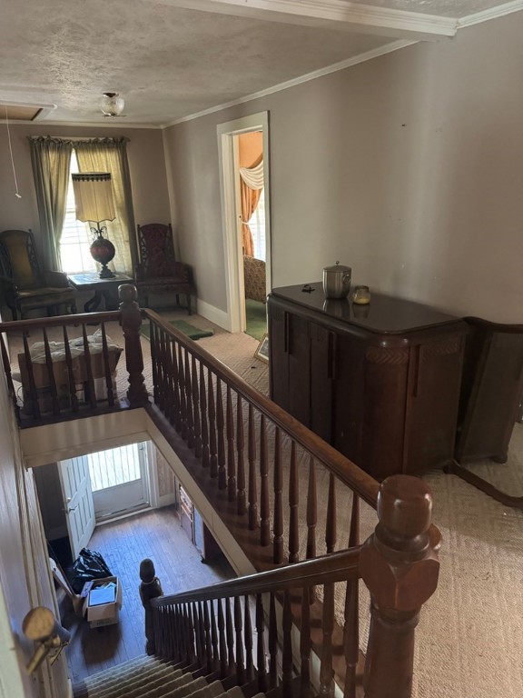 517 State Highway Loop Moscow, TX 75960 - Photo 15 of 22