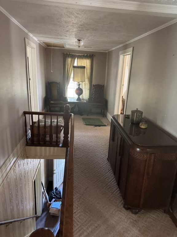 517 State Highway Loop Moscow, TX 75960 - Photo 18 of 22