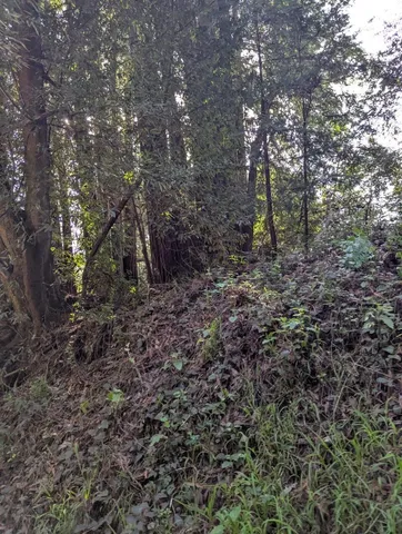 $170,000 | 8055 Glen Haven Road, Soquel, CA 95073