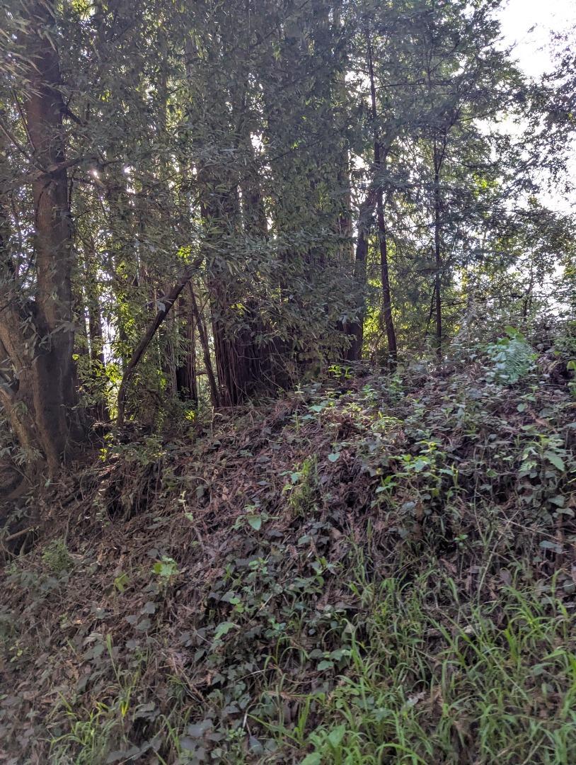 8055 Glen Haven Road Soquel, CA 95073 - Photo 3 of 6