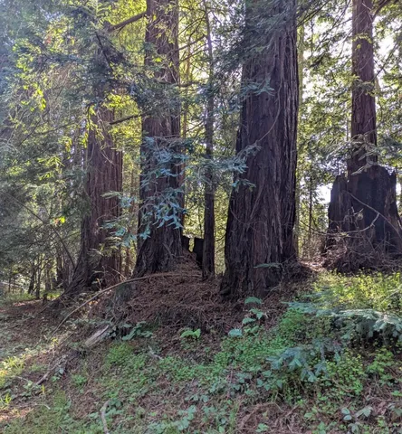 $170,000 | 8055 Glen Haven Road, Soquel, CA 95073