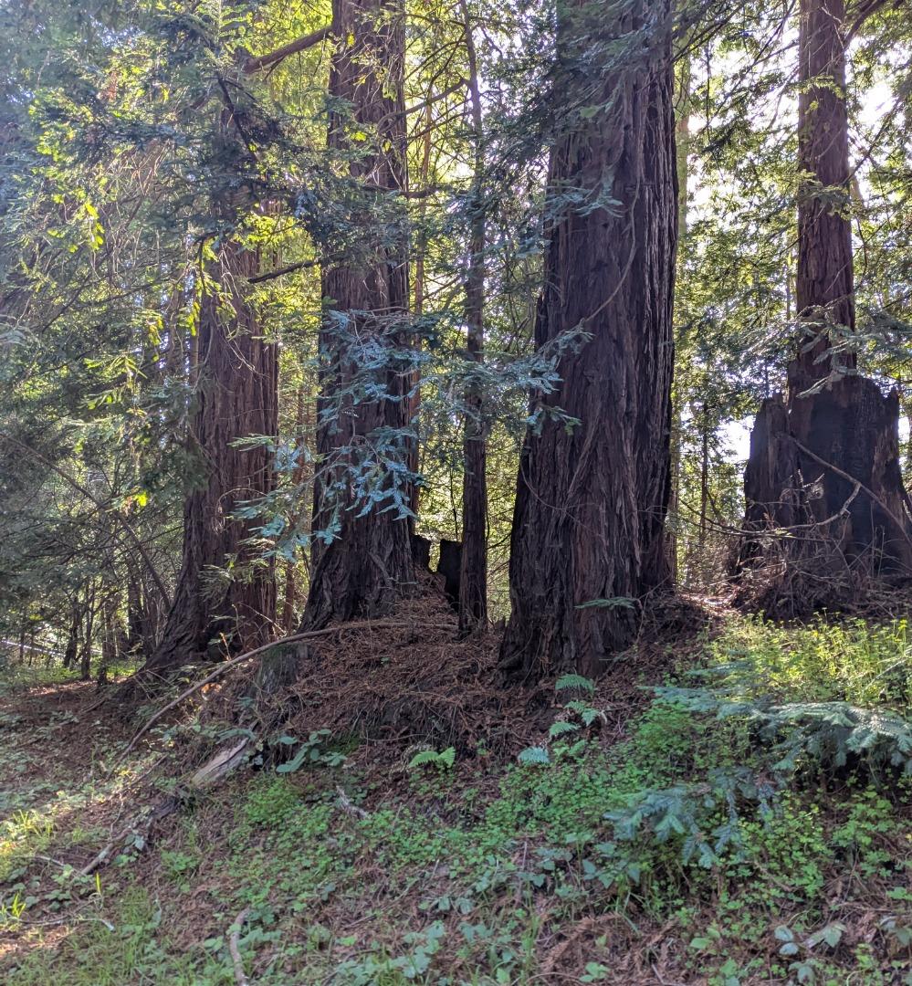 8055 Glen Haven Road Soquel, CA 95073 - Photo 4 of 6