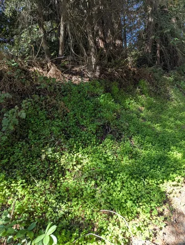 $170,000 | 8055 Glen Haven Road, Soquel, CA 95073