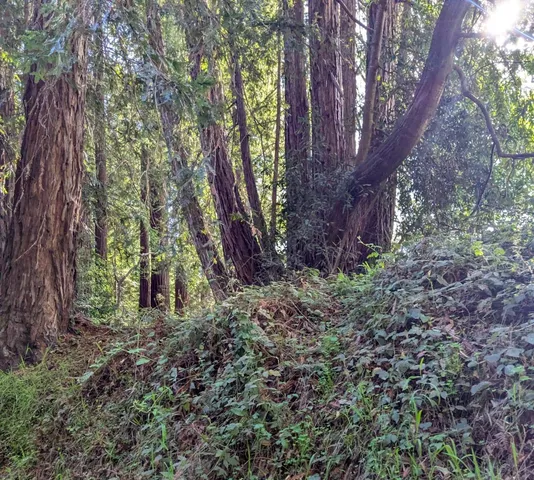 $170,000 | 8055 Glen Haven Road, Soquel, CA 95073