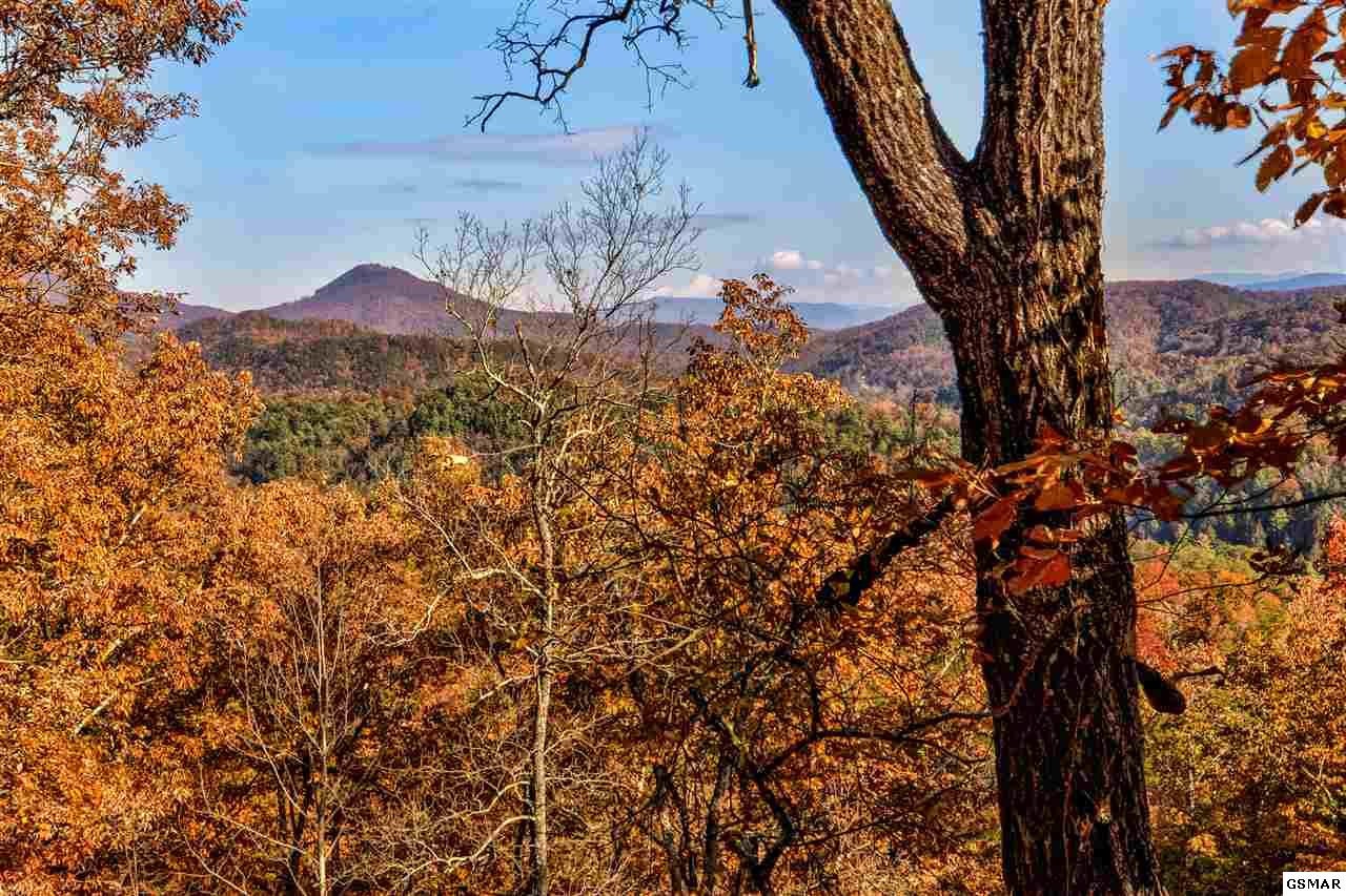 14 Autumn Ridge Way Sevierville, TN 37876 - Photo 2 of 7