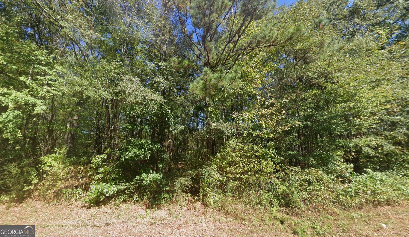 900 Joe Stephens Road Franklin, GA 30217 - Photo 2 of 6